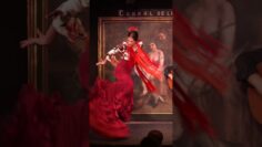 Privado: [ID: 4F13yFDw5V8] Youtube Automatic