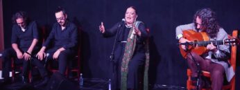 Privado: [ID: 9p3a0Jc2jew] Youtube Automatic