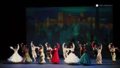 Privado: [ID: CIdcBhJ36yw] Youtube Automatic