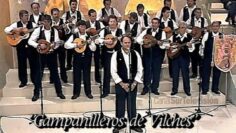 Privado: [ID: vPm_LGoC0rc] Youtube Automatic