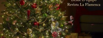 Privado: [ID: ZFRDO0l8zCs] Youtube Automatic