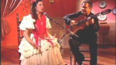 Privado: [ID: l57HUGwzrY8] Youtube Automatic