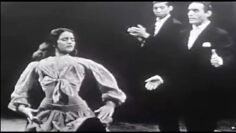 Privado: [ID: hhtEeY3qgyw] Youtube Automatic