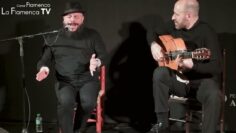 Privado: [ID: 4e9OJ7peXr0] Youtube Automatic