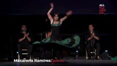 Privado: [ID: DzziWedAXTw] Youtube Automatic