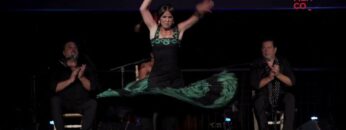 Privado: [ID: DzziWedAXTw] Youtube Automatic