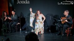 Privado: [ID: _S3H4zZgfk4] Youtube Automatic