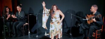 Privado: [ID: _S3H4zZgfk4] Youtube Automatic