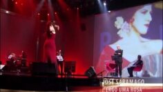 Privado: [ID: ZIMFRpWSstg] Youtube Automatic