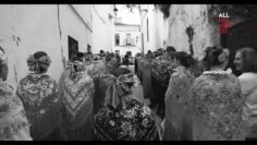 Privado: [ID: NjRkd87P-pw] Youtube Automatic