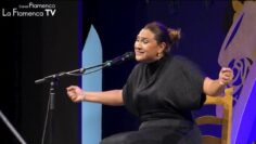 Privado: [ID: miNe27-D5_E] Youtube Automatic