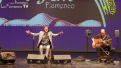 Privado: [ID: vjTvpiNDI0U] Youtube Automatic