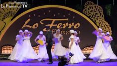 Privado: [ID: Vw1PRaCiqkw] Youtube Automatic