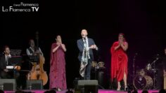 Privado: [ID: MudZsrTYzzE] Youtube Automatic