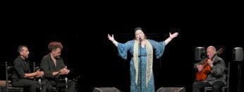 Privado: [ID: SzhIpA50LeQ] Youtube Automatic