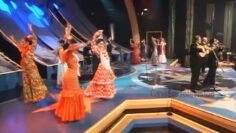 Privado: [ID: w_05NEYxNd4] Youtube Automatic