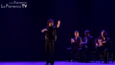 Privado: [ID: F1LgQK4wKXY] Youtube Automatic