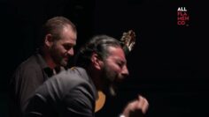 Privado: [ID: WlX4AMXZnoA] Youtube Automatic