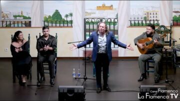 Privado: [ID: YeOwLk-XKvo] Youtube Automatic