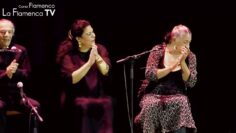 Privado: [ID: yAfSeKHskBo] Youtube Automatic